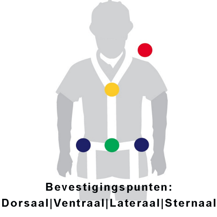 1_of_meer_bevestigingspunten_dorsaal_sternaal_ventraal_lateraal_met_tekst6