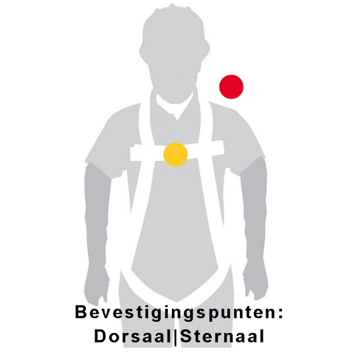 1_of_meer_bevstigingspunten_dorsaal_en_sternaal_met_tekst