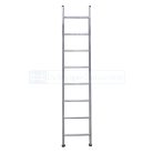 petry-enkele-rechte-ladder-8719998023398-100224-1