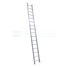 Petry Enkele Rechte Ladder - 1x16 Sporten