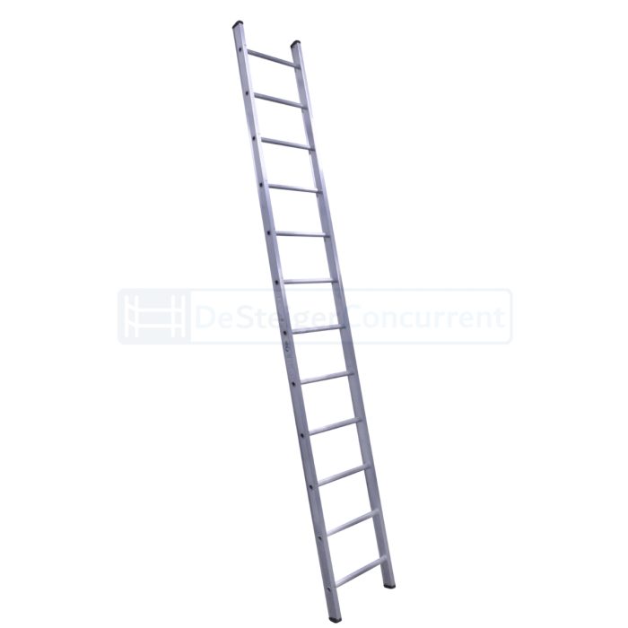 Petry Enkele Rechte Ladder - 1x12 Sporten