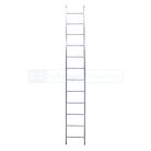 petry-enkele-rechte-ladder-8719998036671-1002260