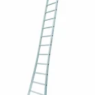 Solide Enkele Uitgebogen Ladder - 1x12 Sporten